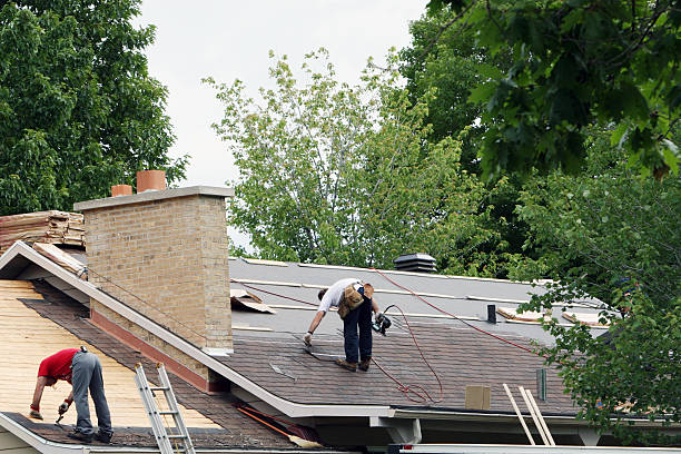 Best Local Roofing Companies  in Cambridge, IL