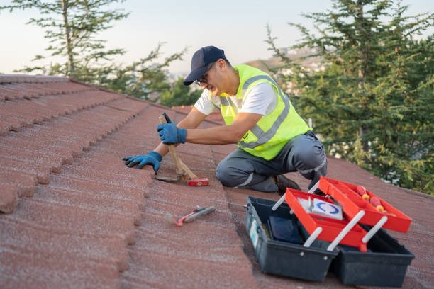 Best Gutter Installation and Roofing  in Cambridge, IL