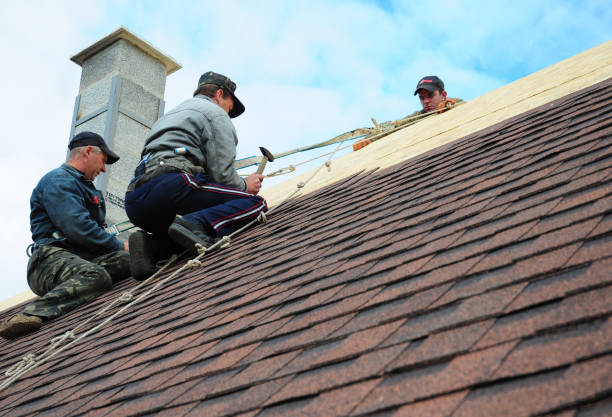 Quick and Trustworthy Emergency Roof Repair Services in Cambridge, IL