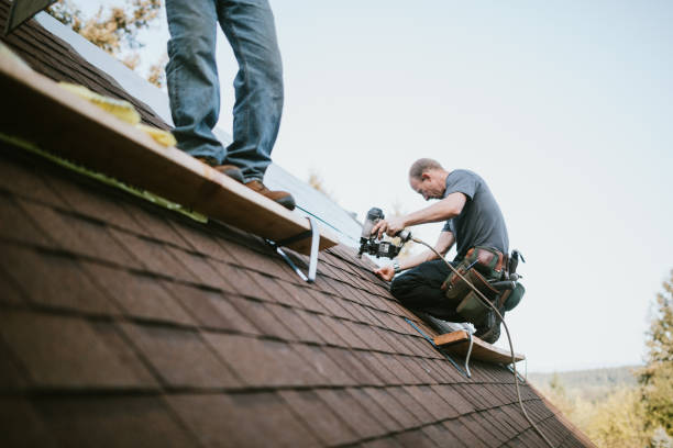 Roof Waterproofing Services in Cambridge, IL