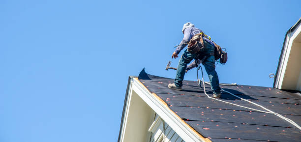 Best Residential Roofing Contractor  in Cambridge, IL